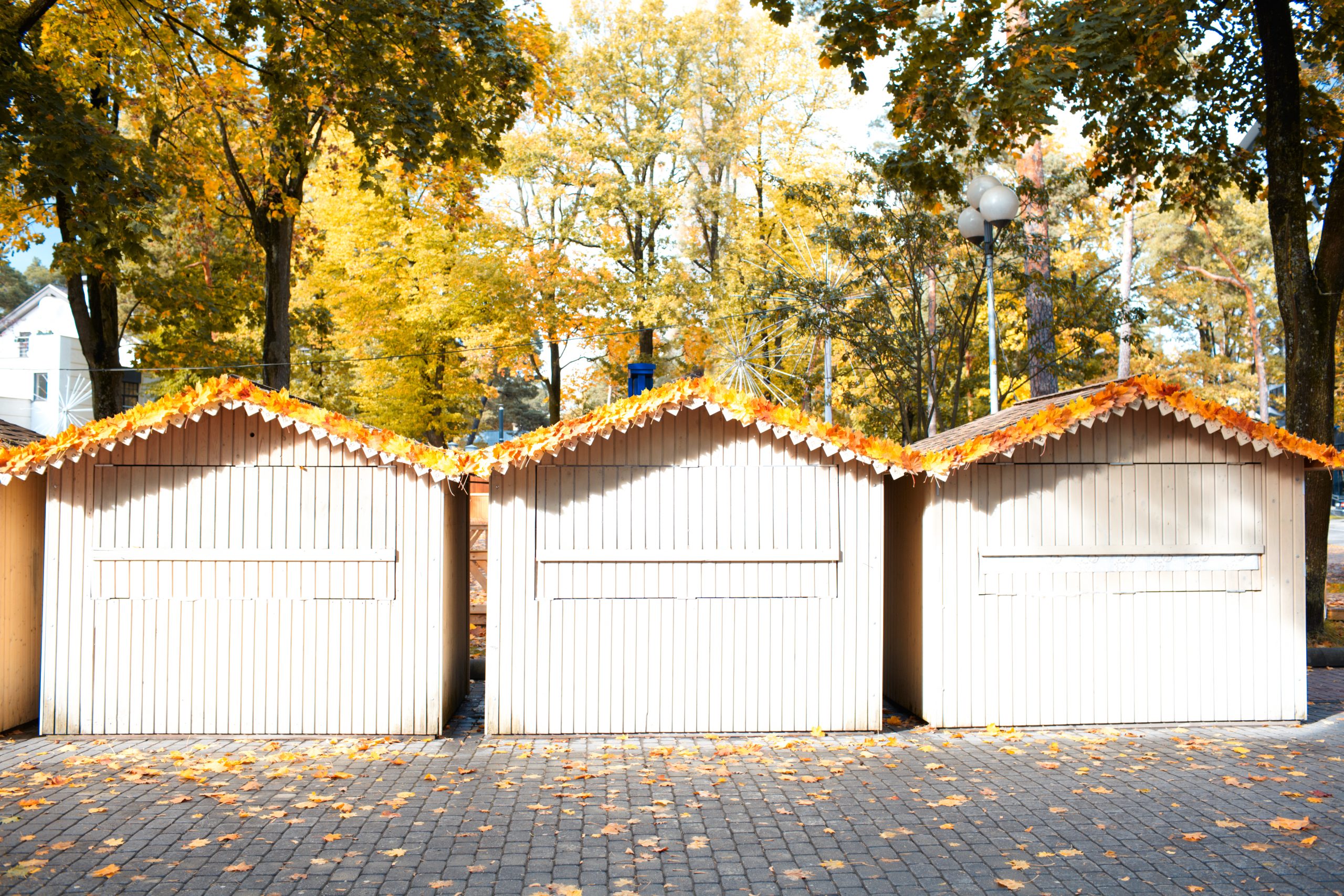 Autumn landscape - three small wooden houses and yellow leaves in Jurmala, Latvia.